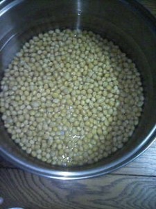 miso1