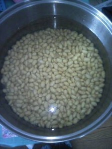 miso2