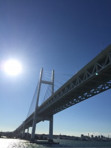 ファイル_000 (25)