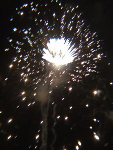 image3-225x300