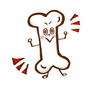 骨密度の検査を受けてみた!費用はたったの700円