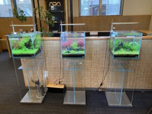 日野市の就労支援事業所、メダカフェでランチして来ました。